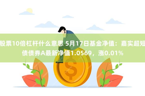 股票10倍杠杆什么意思 5月17日基金净值：嘉实超短债债券A最新净值1.0569，涨0.01%