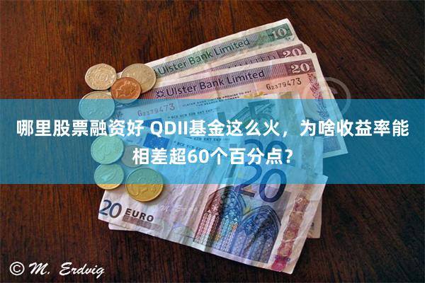 哪里股票融资好 QDII基金这么火，为啥收益率能相差超60个百分点？