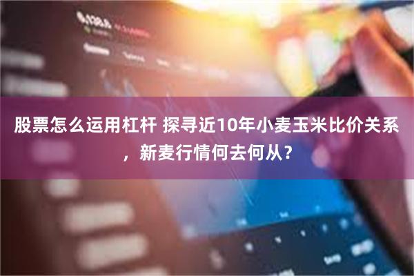 股票怎么运用杠杆 探寻近10年小麦玉米比价关系，新麦行情何去何从？