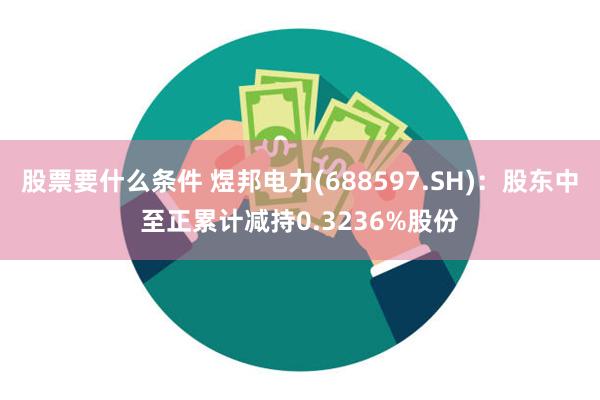 股票要什么条件 煜邦电力(688597.SH)：股东中至正累计减持0.3236%股份