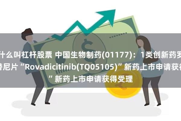 什么叫杠杆股票 中国生物制药(01177)：1类创新药罗伐昔替尼片“Rovadicitinib(TQ05105)”新药上市申请获得受理