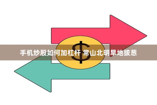 手机炒股如何加杠杆 常山北明旱地拔葱