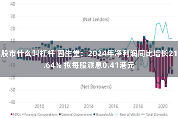 股市什么叫杠杆 固生堂：2024年净利润同比增长21.64% 拟每股派息0.41港元