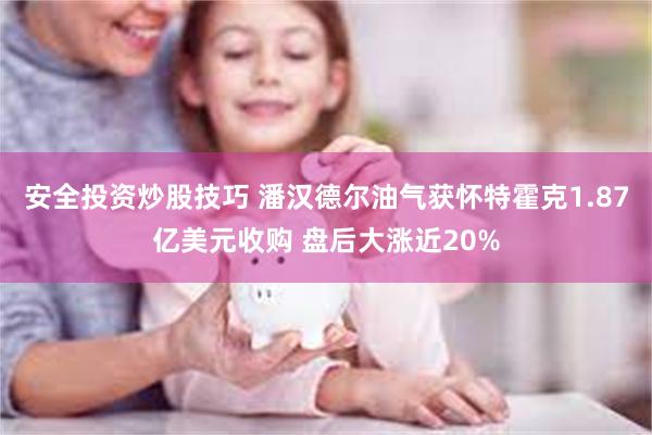 安全投资炒股技巧 潘汉德尔油气获怀特霍克1.87亿美元收购 盘后大涨近20%