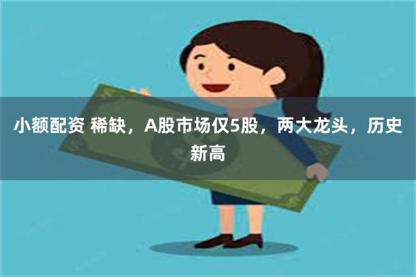 小额配资 稀缺，A股市场仅5股，两大龙头，历史新高