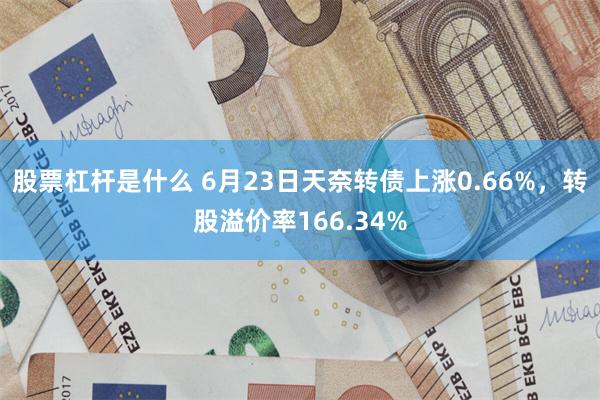 股票杠杆是什么 6月23日天奈转债上涨0.66%，转股溢价率166.34%