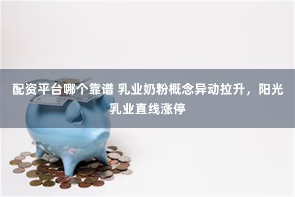 配资平台哪个靠谱 乳业奶粉概念异动拉升，阳光乳业直线涨停