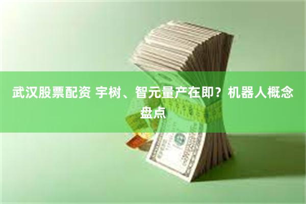 武汉股票配资 宇树、智元量产在即？机器人概念盘点