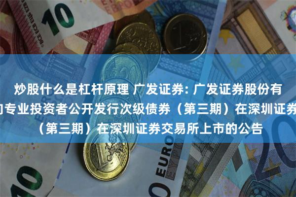 炒股什么是杠杆原理 广发证券: 广发证券股份有限公司2025年面向专业投资者公开发行次级债券（第三期）在深圳证券交易所上市的公告